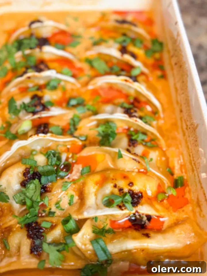 One-Pan Dumpling Bake, a viral weeknight dinner idea