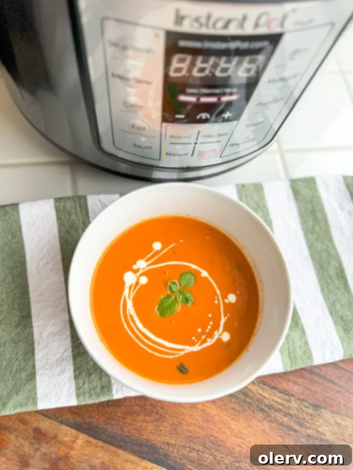 Silky Garden Tomato Delight 3 Close-up of creamy tomato basil soup in a bowl, showcasing its smooth texture and rich color.