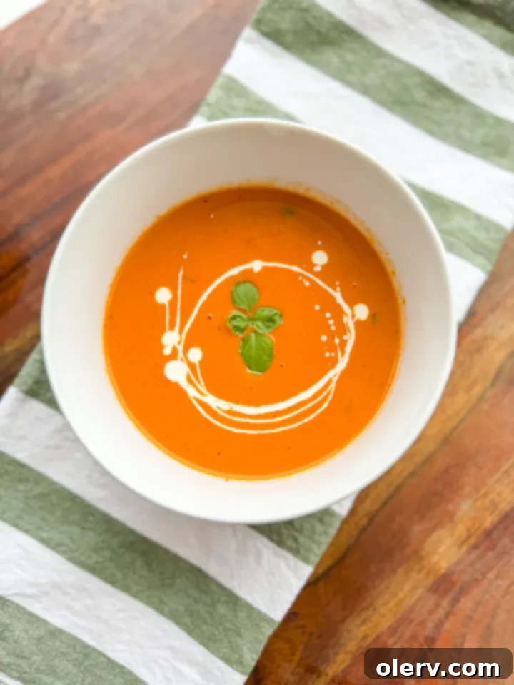 Silky Garden Tomato Delight 6 A close-up of a bowl of creamy tomato basil soup, showcasing its smooth texture and appetizing appearance, ready to be enjoyed.