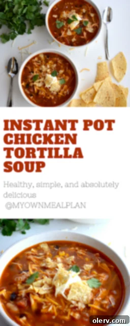 Instant Pot Chicken Tortilla Soup pin image