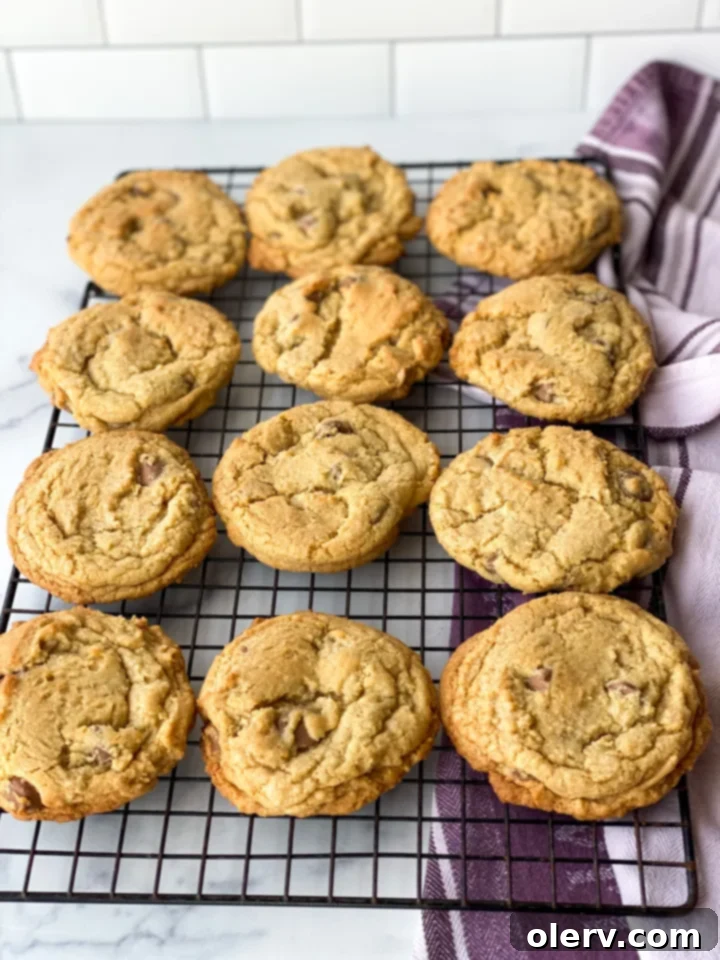 Irresistible Chocolate Chip Indulgence 2 Warm, freshly baked chocolate chip cookies with a golden brown edge and soft center