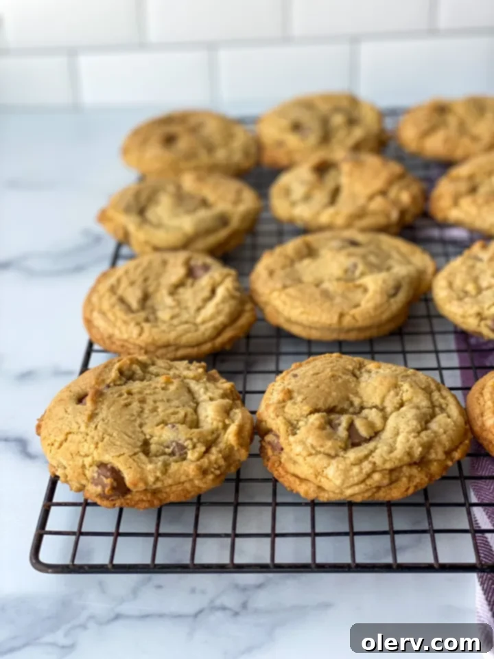 Irresistible Chocolate Chip Indulgence 4 A bowl filled with rich, creamy milk chocolate chips, ready to be added to cookie dough