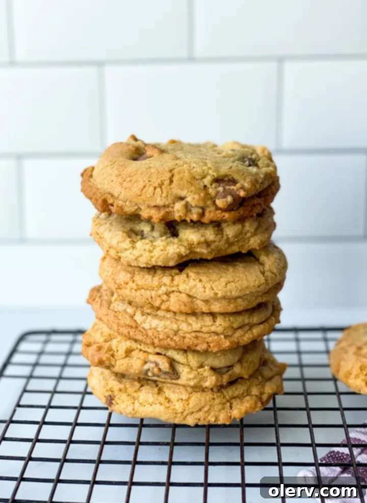 Irresistible Chocolate Chip Indulgence 5 Delicious chocolate chip cookie dough ready for baking, showcasing the perfect consistency