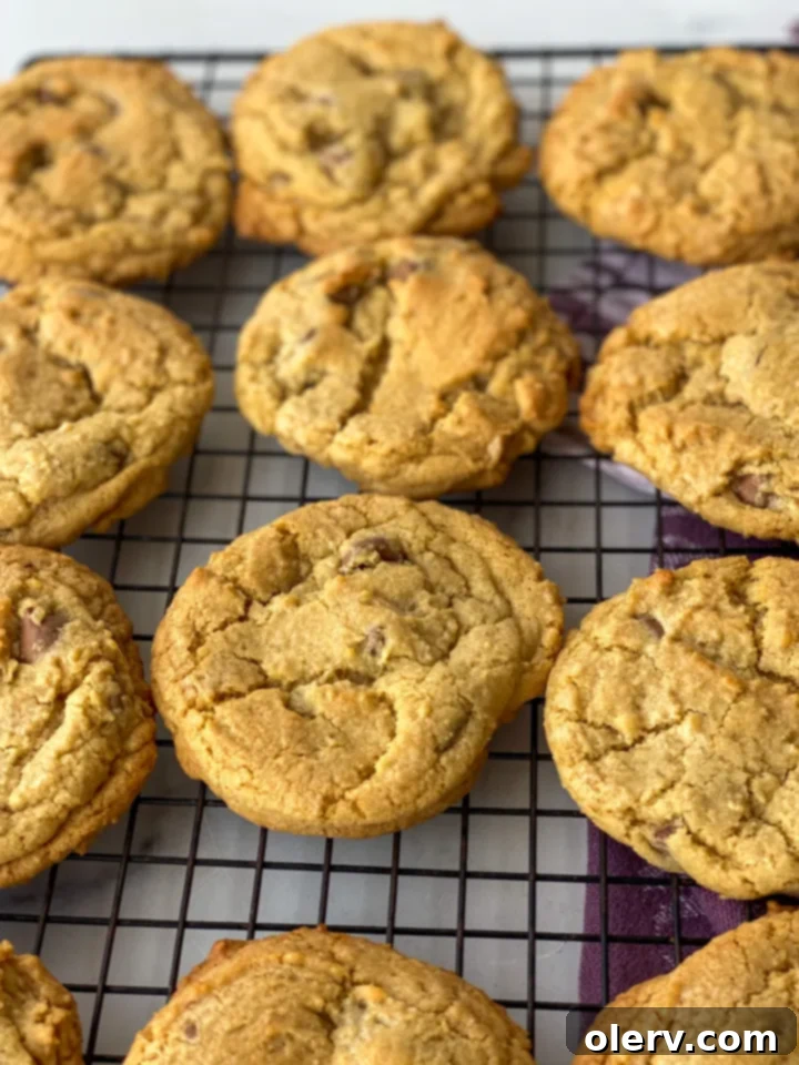 Irresistible Chocolate Chip Indulgence 6 Freshly baked chocolate chip cookies cooling on a wire rack, still warm and inviting