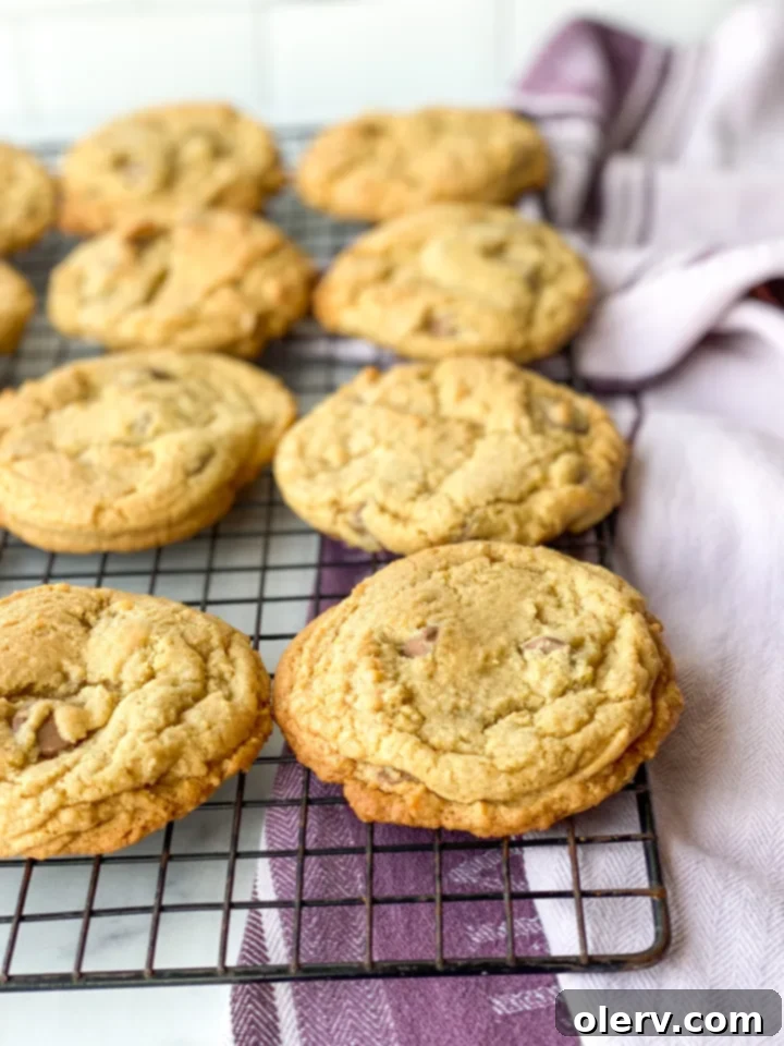 Irresistible Chocolate Chip Indulgence 7 Key ingredients for chocolate chip cookies laid out, including cold butter, sugars, and chocolate chips