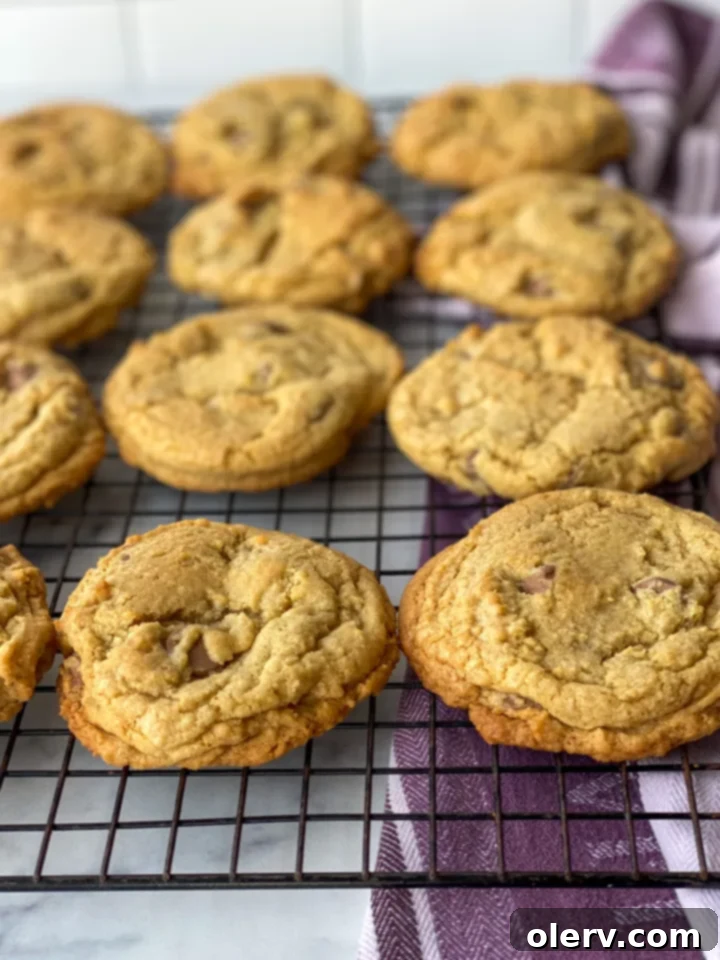 Irresistible Chocolate Chip Indulgence 8 A baking sheet filled with perfectly golden, freshly baked chocolate chip cookies