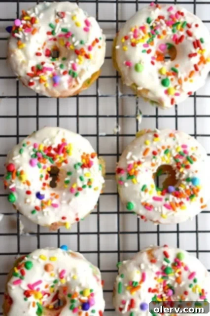 Protein Donuts - Cake Batter & Double Chocolate 2 Cake Batter Protein Donuts with colorful sprinkles