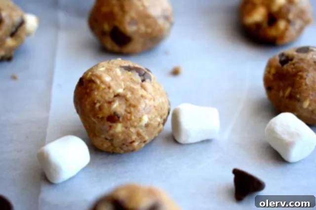 Smore Protein Energy Bites 2 Delicious S'more Protein Bites piled on a plate, ready to be enjoyed as a healthy snack.