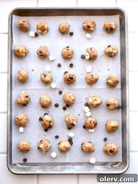 Smore Protein Energy Bites 3 Close-up of freshly prepared S'more Protein Bites on a dark background, showing their texture.