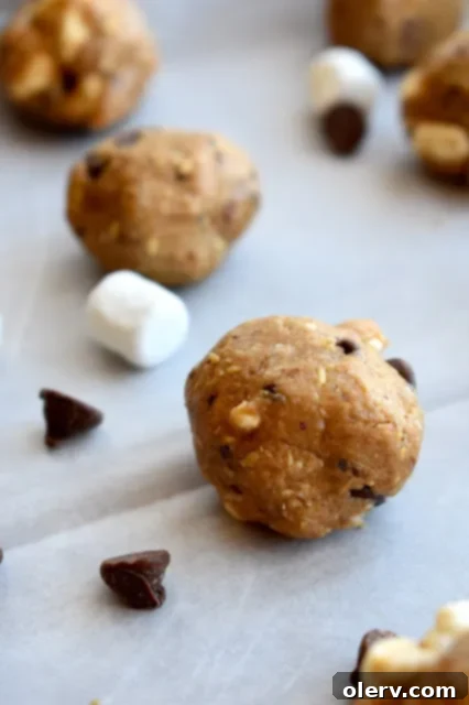 Smore Protein Energy Bites 4 A closer view of the S'more Protein Bites, featuring visible mini marshmallows and chocolate chips.
