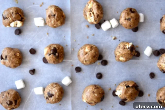 Smore Protein Energy Bites 5 Another perspective of the homemade S'more Protein Bites, emphasizing their delicious appeal.