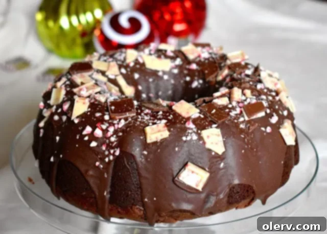 Gourmet Chocolate Peppermint Bundt Cake Chocolate Peppermint Bundt Cake, fully glazed and decorated