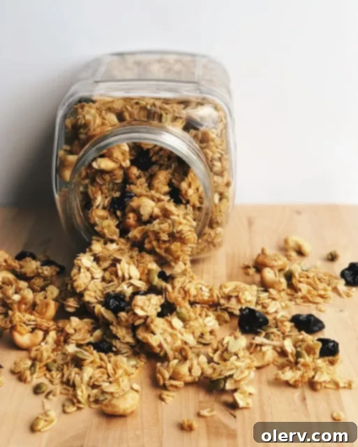 Coconut Sour Cherry Granola