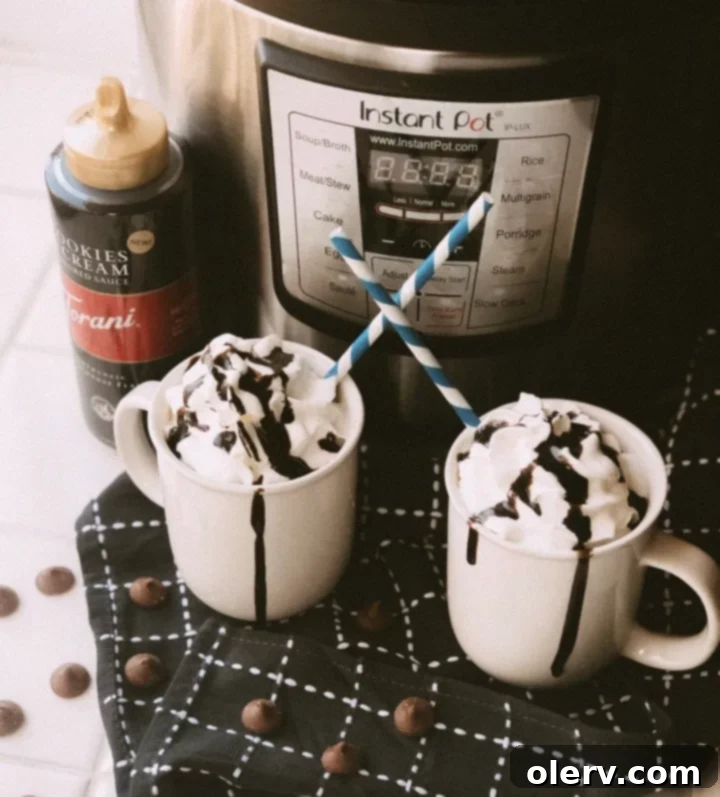 Easy Instant Pot Hot Chocolate 2 Delicious Instant Pot Hot Chocolate with marshmallows