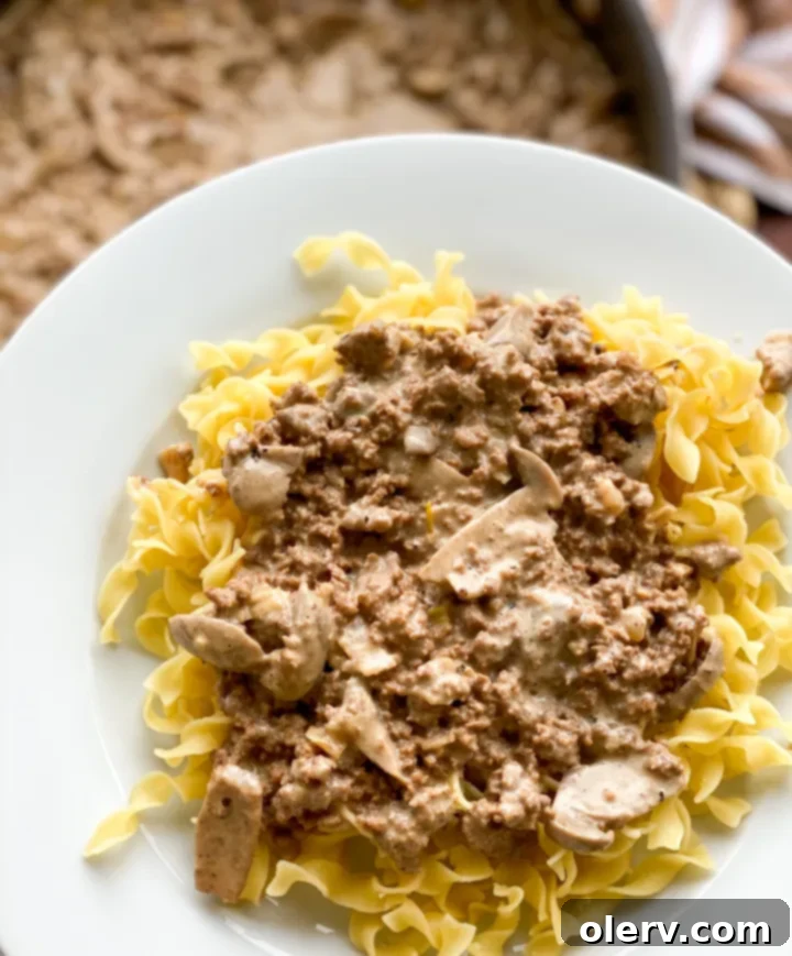 Delicious Beef Stroganoff with Mushrooms served over egg noodles
