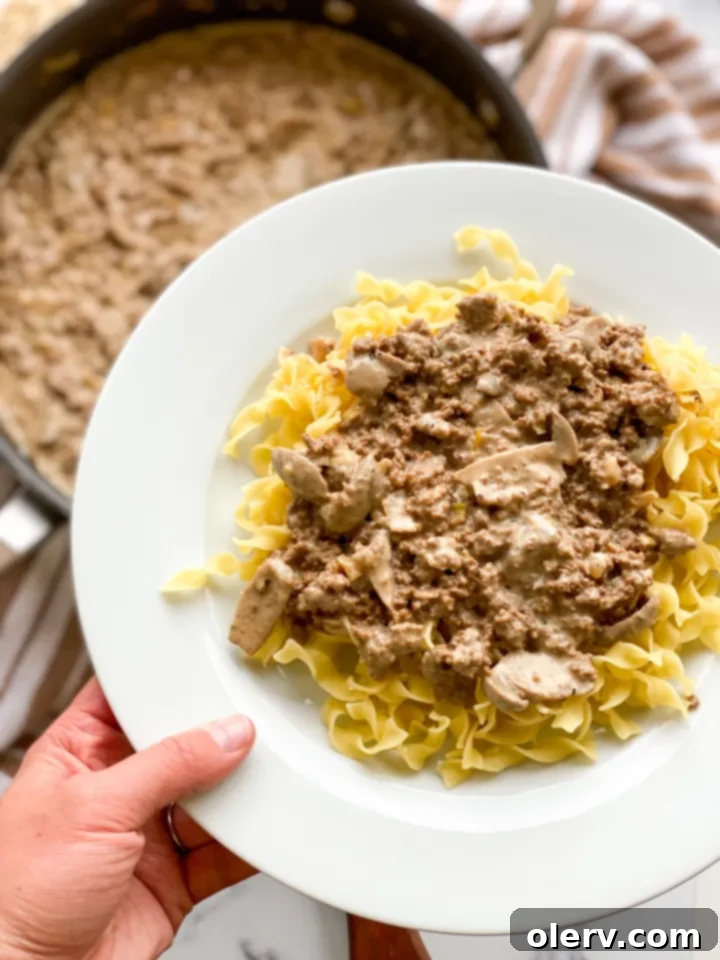 The Ultimate Creamy Beef & Mushroom Stroganoff 7 A bowl of homemade Beef Stroganoff with fresh parsley garnish, ready to be enjoyed