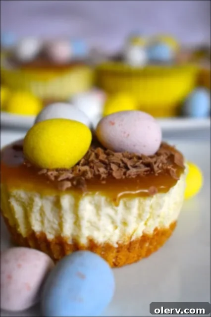 Bite-Sized Easter Cheesecake Treats 2 PERSONAL EASTER CHEESECAKE CUPCAKES