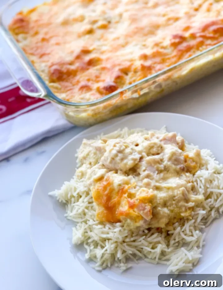 Comforting Chicken Divan Casserole 2 A delicious, creamy Chicken Divan casserole, freshly baked and ready to serve, a perfect comfort food.