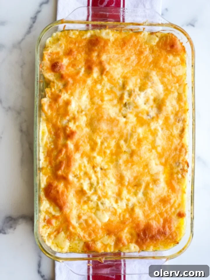 Comforting Chicken Divan Casserole 3 Close-up of creamy Chicken Divan casserole with visible chicken pieces and melted cheese topping.