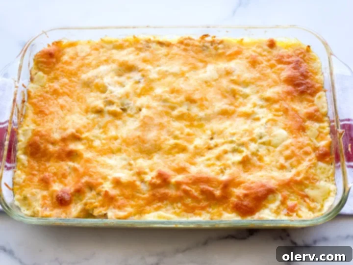 Comforting Chicken Divan Casserole 4 Ingredients for Chicken Divan, including shredded cooked chicken, ready for mixing.