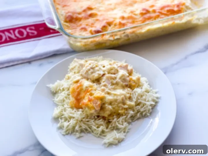 Comforting Chicken Divan Casserole 5 A baking dish filled with unbaked Chicken Divan, topped with shredded cheese, ready for the oven.