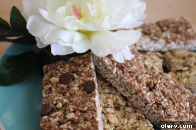 Crafted Protein Fuel 6 Homemade Chocolate Peanut Butter Protein Bars