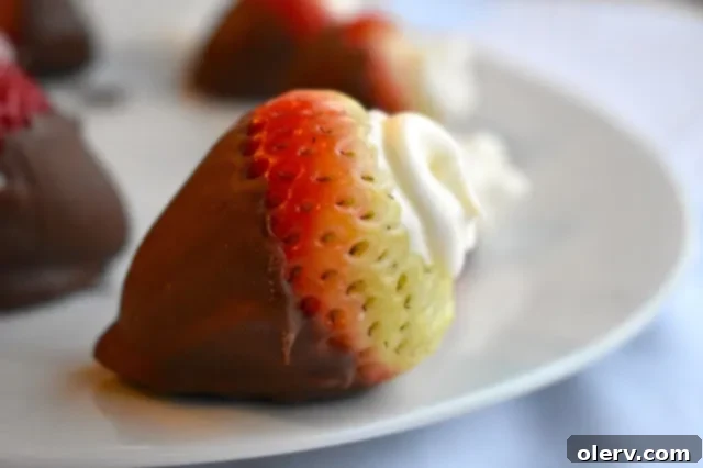 Sweethearts Delight Cheesecake Stuffed Chocolate Strawberries 2 Beautifully arranged Cheesecake Stuffed Chocolate Covered Strawberries