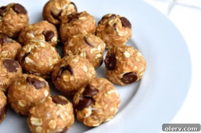 Peanut Butter Protein Energy Bites 2 Close-up of freshly made peanut butter protein balls with chocolate chips on a wooden surface.