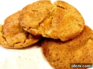 Golden Caramel Snickerdoodle Secrets 2 Delicious Brown Butter Caramel Stuffed Snickerdoodle cookie, showing its golden brown exterior and soft texture.