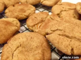 Golden Caramel Snickerdoodle Secrets 3 Unbaked Brown Butter Caramel Stuffed Snickerdoodle cookie dough balls coated in cinnamon sugar, ready for baking.