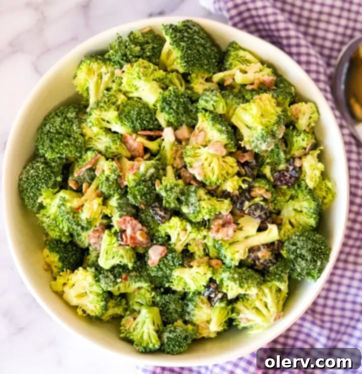 Simple and Delicious Broccoli Salad 4 Ingredients for Easy Broccoli Salad laid out: fresh broccoli, red onion, bacon, craisins, and sunflower seeds, ready for assembly.