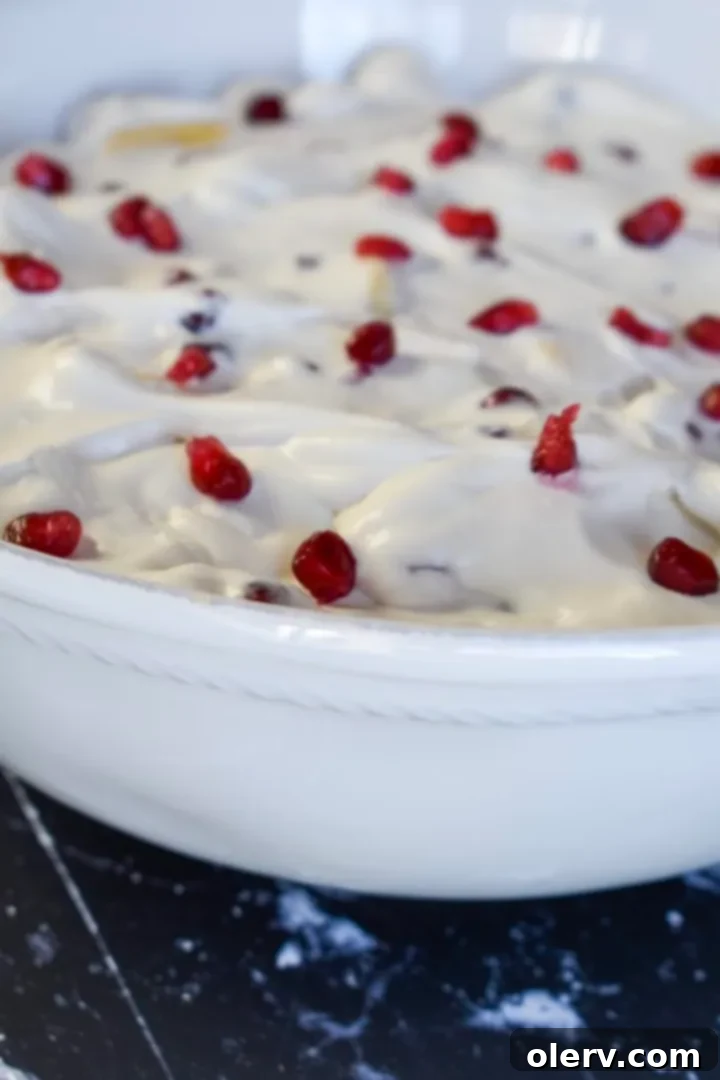Pomegranate Banana Delight 5 Fresh Pomegranate Banana Fruit Salad served in a glass bowl