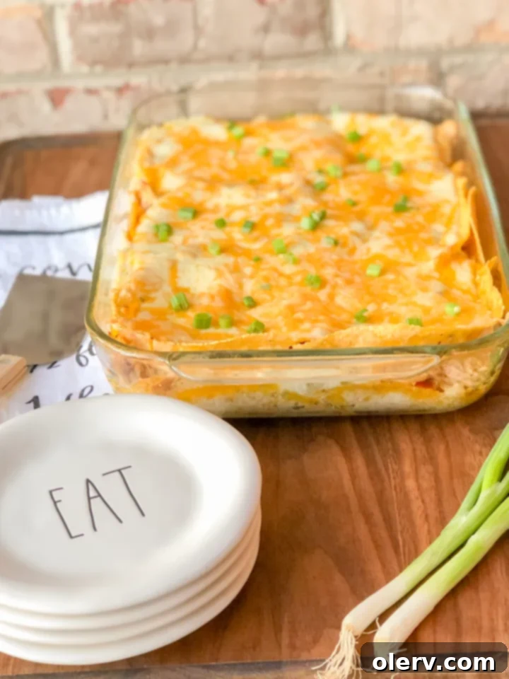Sour Cream Chicken Enchilada Casserole 2 sour cream chicken enchilada bake