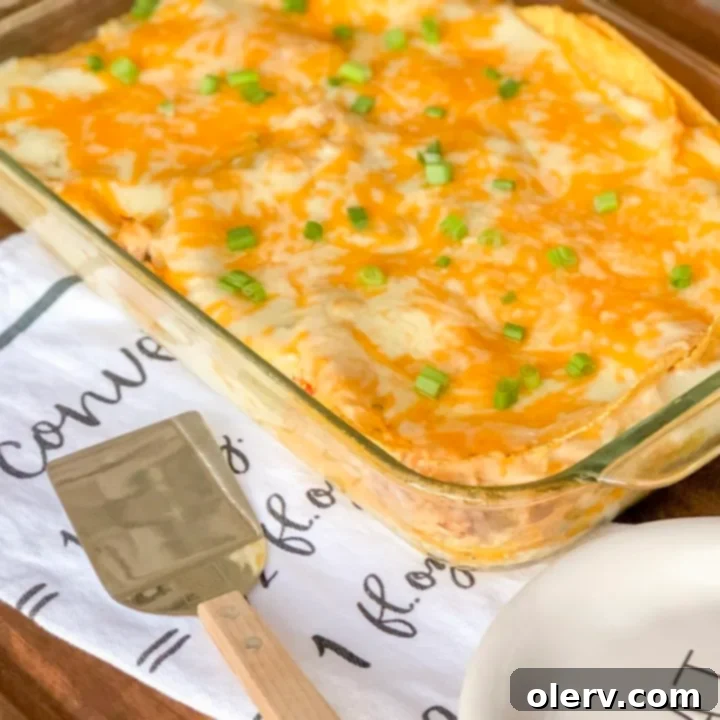 Sour Cream Chicken Enchilada Casserole 3 Sour Cream Chicken Enchilada Bake ingredients