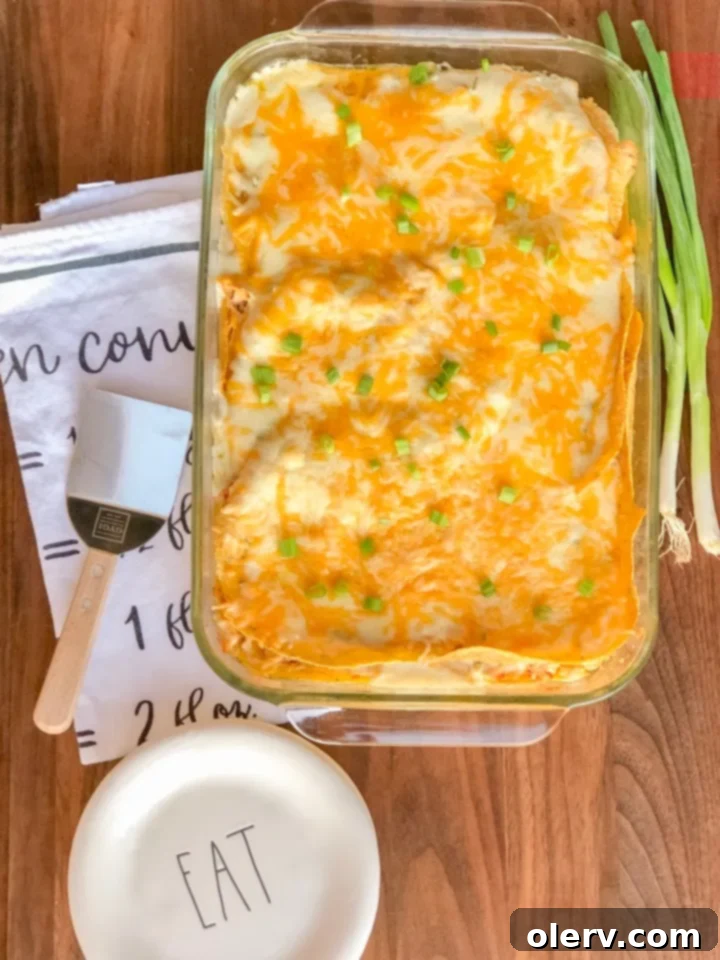 Sour Cream Chicken Enchilada Casserole 4 Layers of Sour Cream Chicken Enchilada Bake