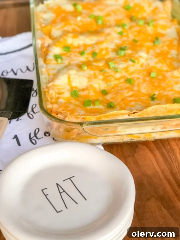 Sour Cream Chicken Enchilada Casserole 5 Sour Cream Chicken Enchilada Bake ready for oven