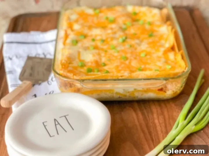 Sour Cream Chicken Enchilada Casserole 6 Sour Cream Chicken Enchilada Bake ready to serve