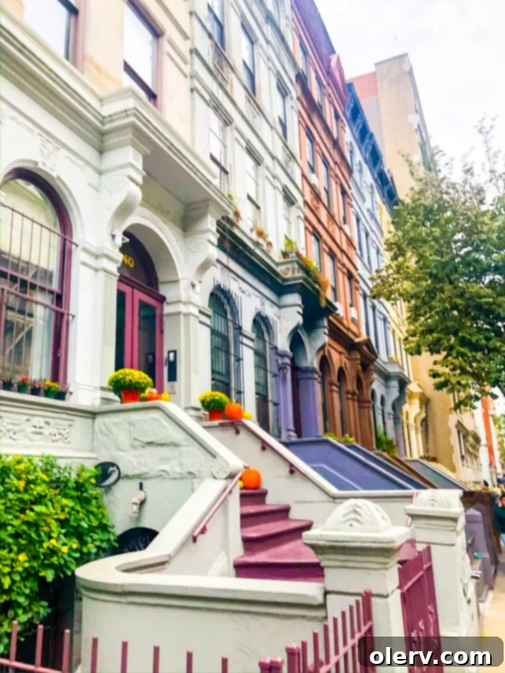 NYC: Your Guide to Top Sights & Best Bites 3 NYC: What to Do & Where To Eat