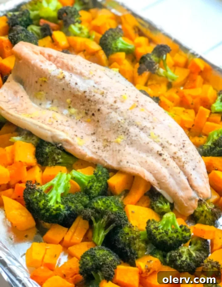 Savory Baked Salmon, Roasted Butternut Squash, and Broccoli 3 Close-up of a perfectly cooked Wild Alaskan Salmon fillet.