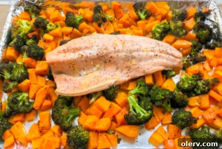 Savory Baked Salmon, Roasted Butternut Squash, and Broccoli 8 Baked Salmon with Roasted Butternut Squash & Broccoli