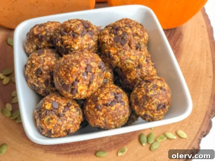 An overhead shot showcasing freshly prepared Pumpkin Energy Bites and their core ingredients laid out