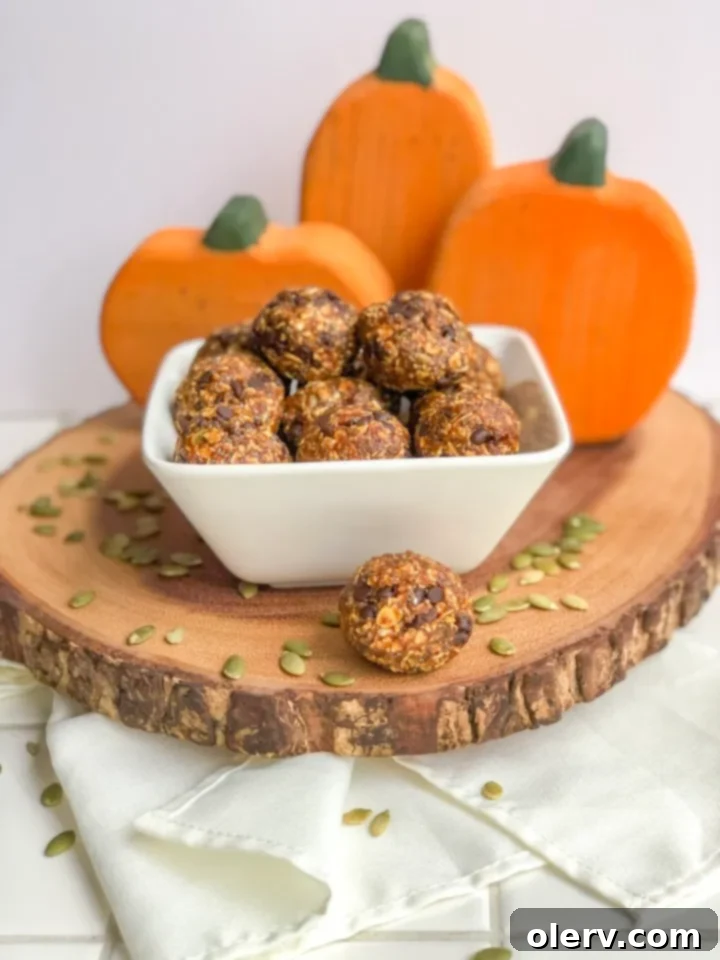 A hand holding a single Pumpkin Energy Bite, highlighting its perfectly rolled texture and inviting appearance