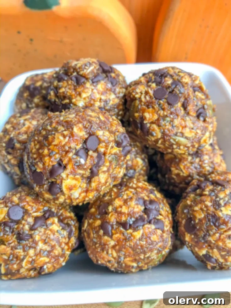 Finished Pumpkin Energy Bites ready to be served