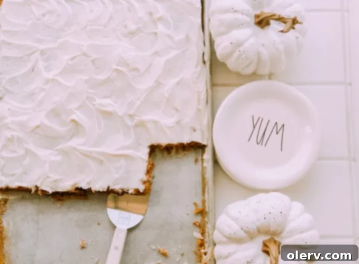 Spiced Pumpkin Sheet Cake with Cream Cheese Frosting 2 Delicious Pumpkin Sheet Cake topped with creamy white frosting, ready to be served.