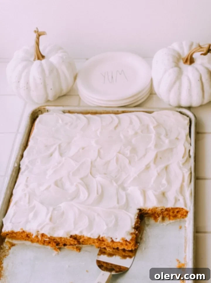 Spiced Pumpkin Sheet Cake with Cream Cheese Frosting 3 Close-up of a square piece of Pumpkin Sheet Cake with a thick layer of Cream Cheese Frosting.