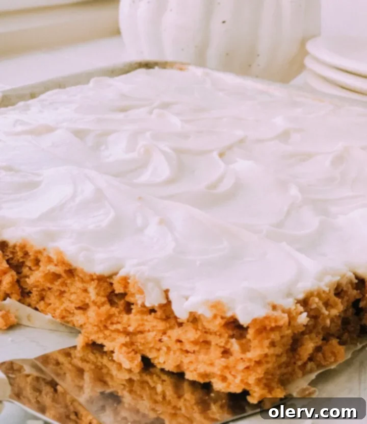 Spiced Pumpkin Sheet Cake with Cream Cheese Frosting 5 A slice of Pumpkin Sheet Cake with generous Cream Cheese Frosting on a plate.