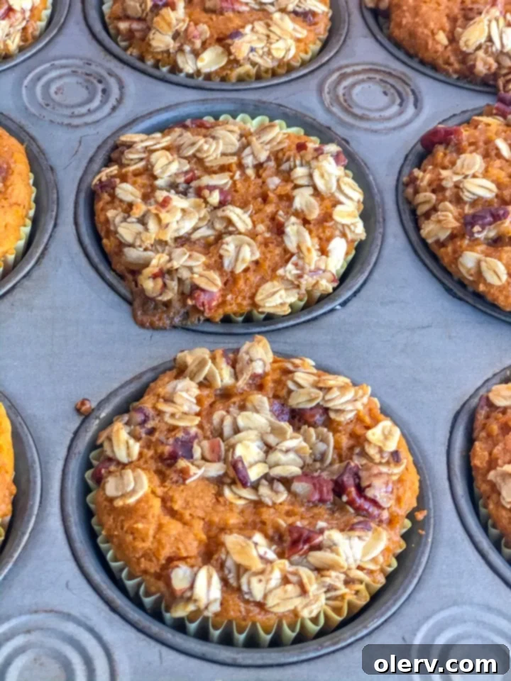 Wholesome Pumpkin Spice Muffins 3 Close-up of healthy pumpkin muffins ready to be served