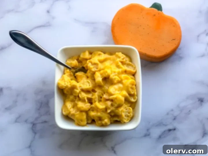 Autumn Pumpkin Macaroni Bake 2 Creamy Spiced Pumpkin Mac and Cheese in a bowl, garnished with fresh chives, ready to be served for a cozy fall meal.