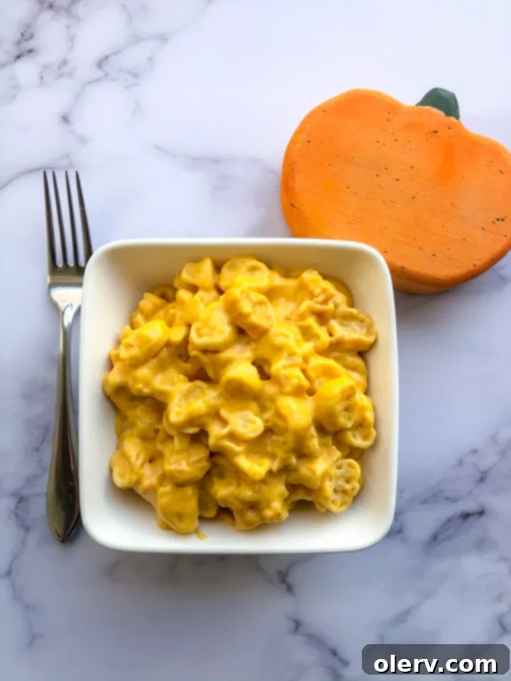 Autumn Pumpkin Macaroni Bake 3 Close-up of a bowl of Spiced Pumpkin Mac and Cheese, showing the rich orange color and creamy texture of the pasta dish.