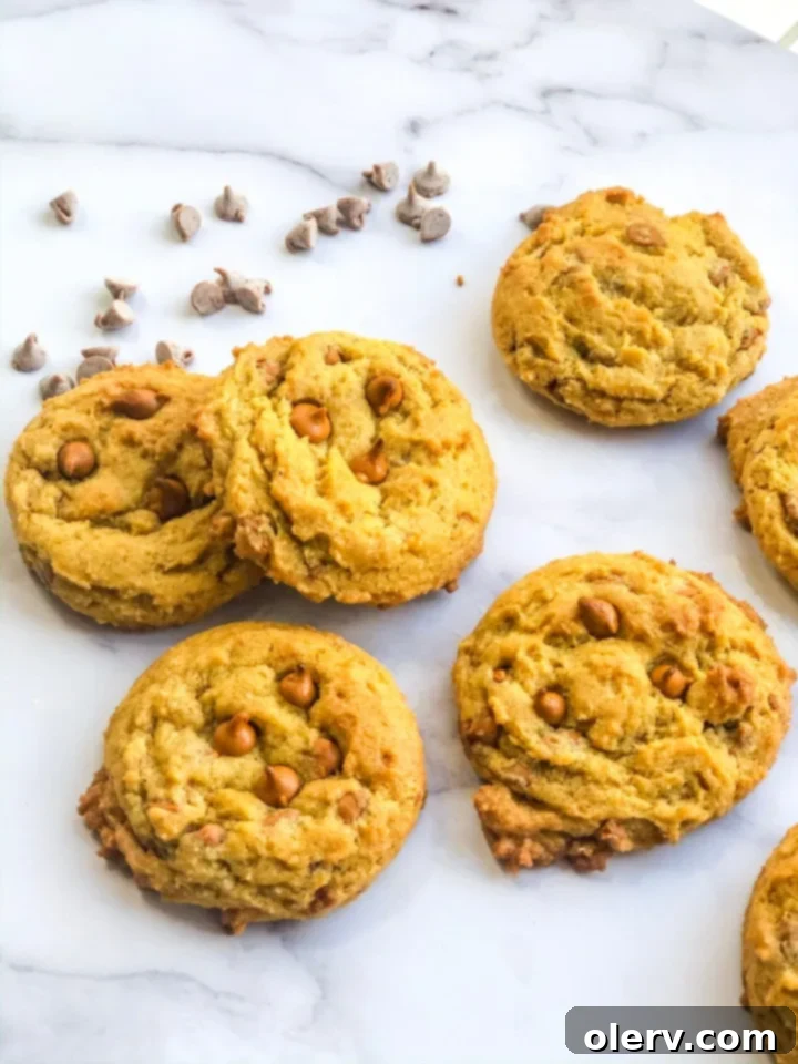 Stack of chewy cinnamon chip pumpkin cookies with a dusting of powdered sugar, ready to be enjoyed.
